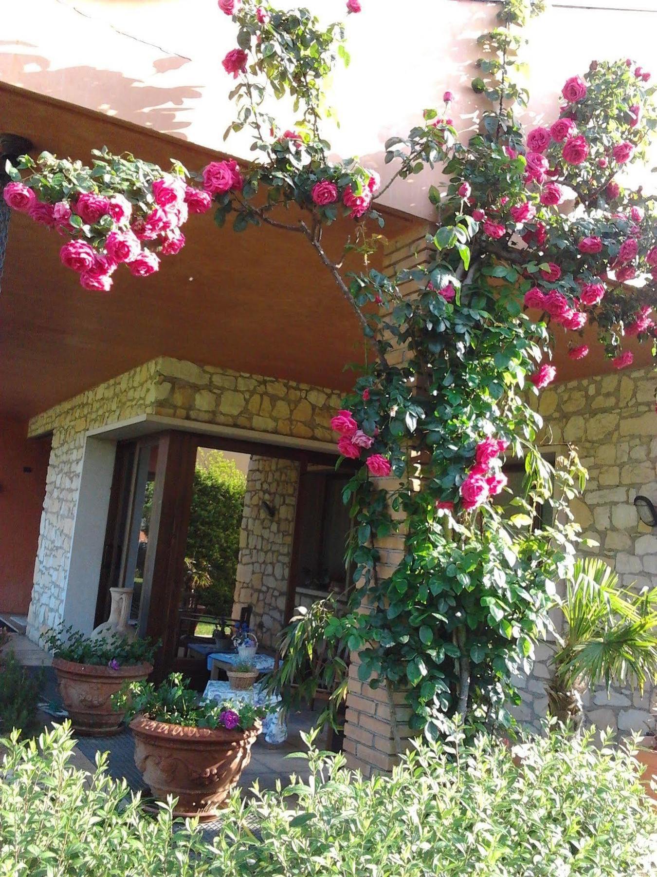 La Dolce Vita Montecchia di Crosara Exterior photo